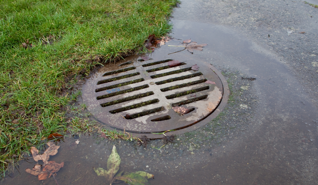 Storm drain collecting runoff water with leaves and debris, illustrating stormwater drainage and pollution prevention