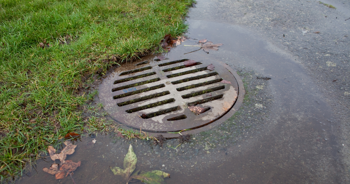 Storm drain collecting runoff water with leaves and debris, illustrating stormwater drainage and pollution prevention